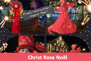 Christ Rose Noël